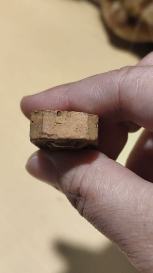 หลวงพ่อปาน รูปที่ 7