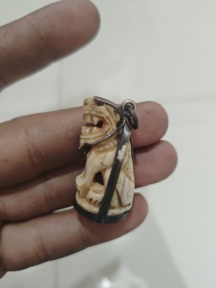 เสือหลวงพ่อปาน รูปที่ 4