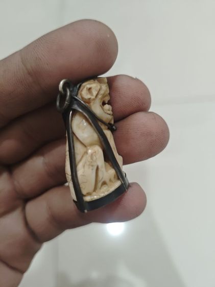 เสือหลวงพ่อปาน รูปที่ 5