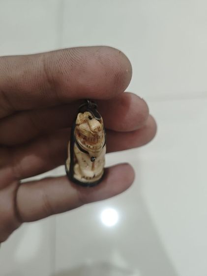 เสือหลวงพ่อปาน รูปที่ 3