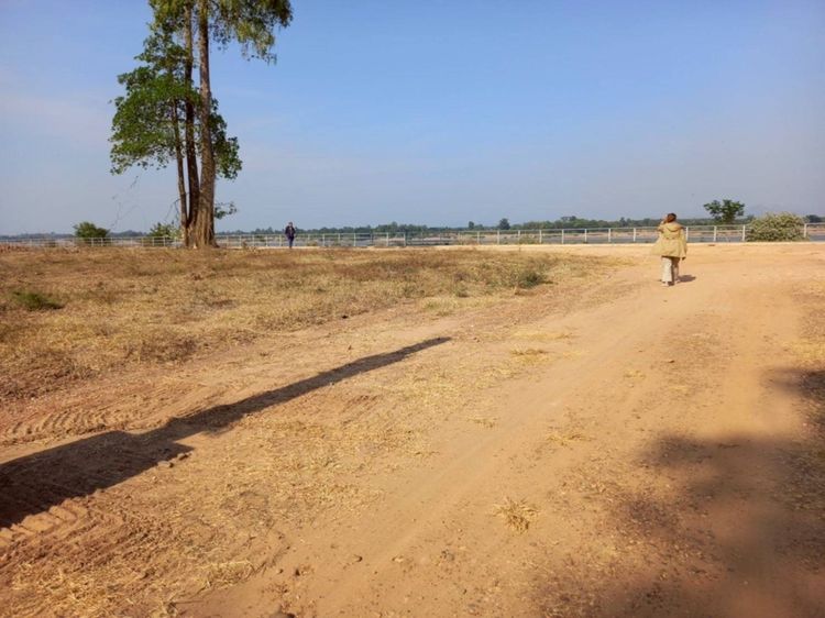 เพชรเม็ดงามริมโขง ขายที่ดิน 8 ไร่เศษ อ.ท่าอุเทน จ.นครพนม รูปที่ 3