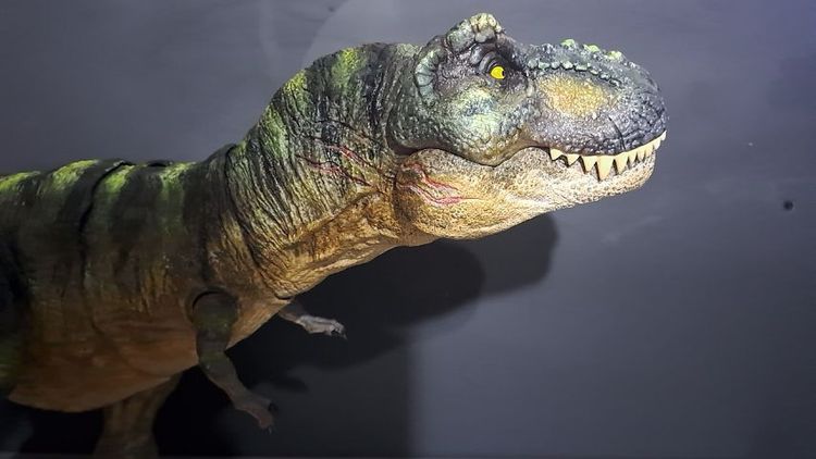 ทีเร็กซ์ ไดโนเสาร์จูราสิค รูปที่ 8