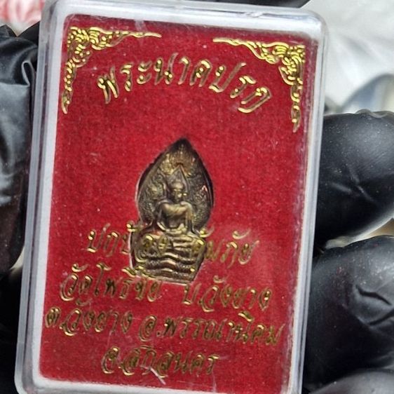 พระนาคปกพร้อมกล่อง 100 รูปที่ 3