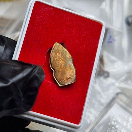 พระนาคปกพร้อมกล่อง 100 รูปที่ 2