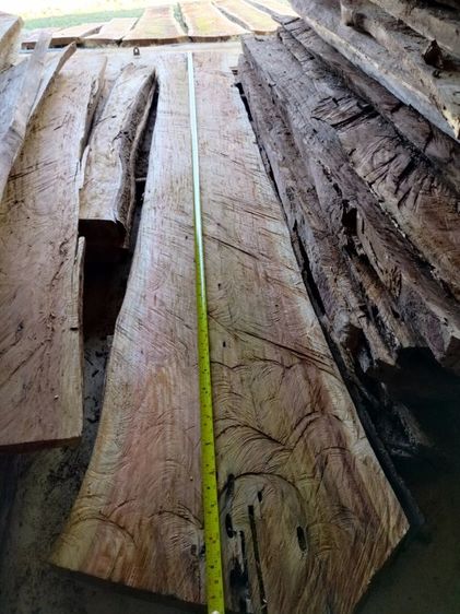 ไม้ประดูแผ่นใหญ่ ขายถูกด่วน ราคาตามขนาด ใช้ทำเฟอร์นิเจอร์ หน้าท็อปไม้ ชั้นวางของ เค้าเตอร์  