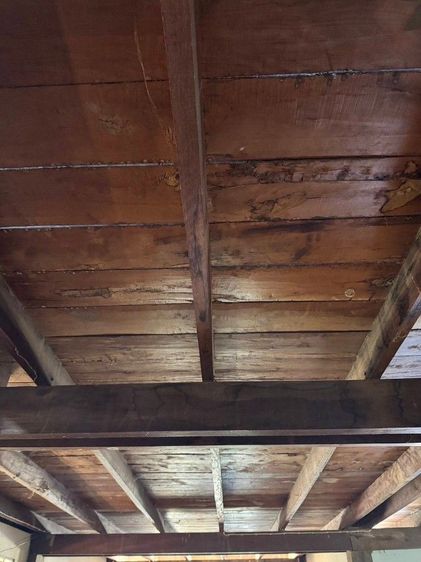 อื่นๆ ไม่มี 2023 ใช่ ขายไม้ รูปที่ 3