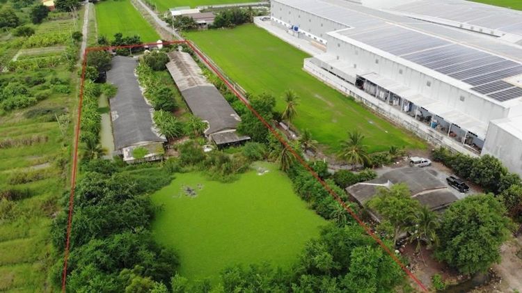 ไม่ใช่ ที่ดินบางเลน พร้อมโรงเรือน รูปที่ 2