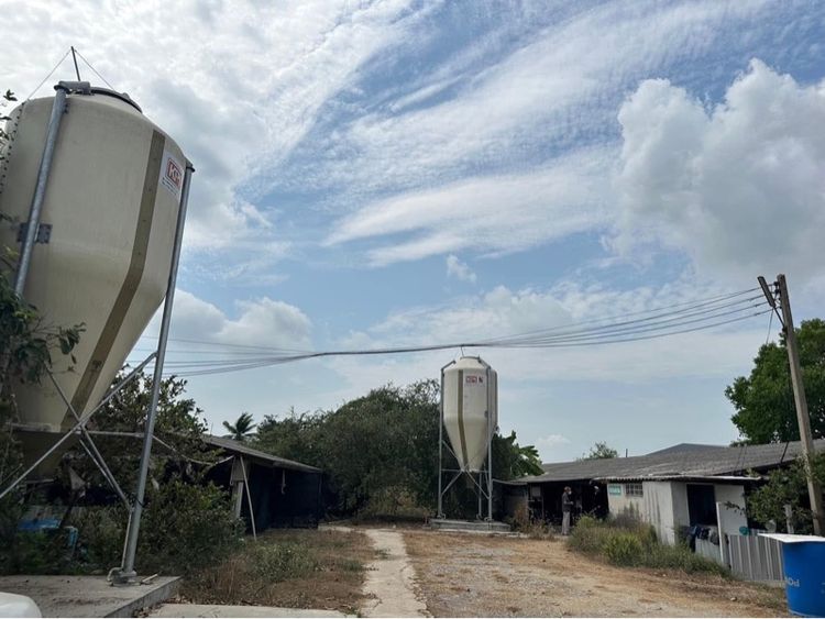 ไม่ใช่ ที่ดินบางเลน พร้อมบ้านและโรงเรือน รูปที่ 4