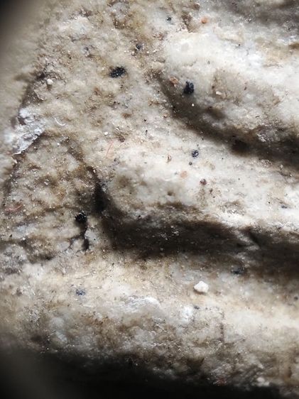 พระสมเด็จสวยๆครับ รูปที่ 13