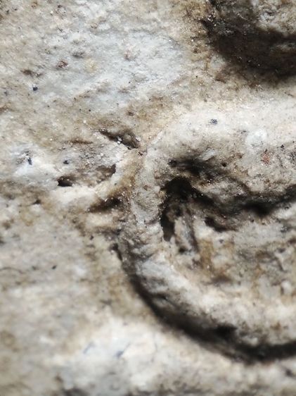 พระสมเด็จสวยๆครับ รูปที่ 7