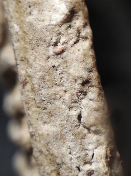 พระสมเด็จสวยๆครับ รูปที่ 12