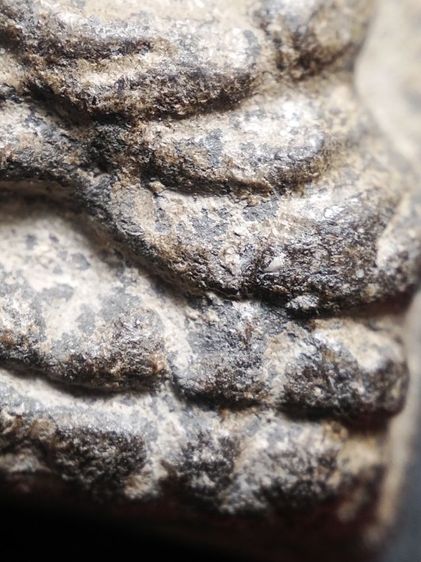 ❌ปิดครับ❌หลวงปู่ทวดเนื้อว่านครับ รูปที่ 12