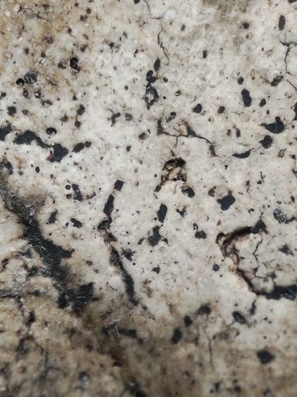 พนะสมเด็จงามๆครับ รูปที่ 13