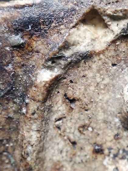 พนะสมเด็จงามๆครับ รูปที่ 6