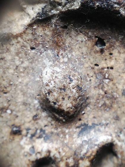 พนะสมเด็จงามๆครับ รูปที่ 5