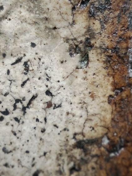 พนะสมเด็จงามๆครับ รูปที่ 14