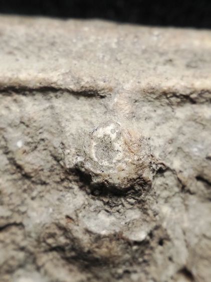 วัดคู้สลอดทรงครุฑครับ รูปที่ 10