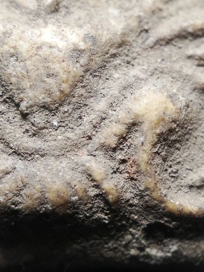 วัดคู้สลอดทรงครุฑครับ รูปที่ 12