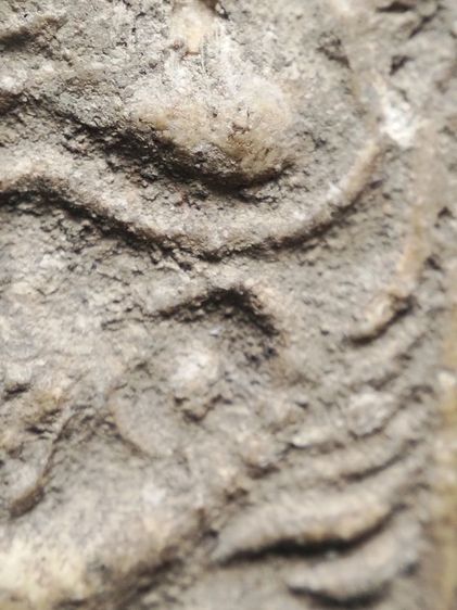 วัดคู้สลอดทรงครุฑครับ รูปที่ 9