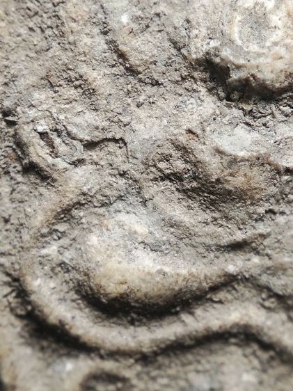 วัดคู้สลอดทรงครุฑครับ รูปที่ 7