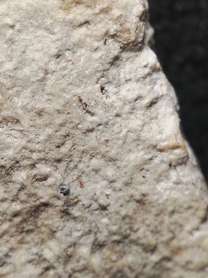 พระสมเด็จเนื้อนุ่มๆครับ รูปที่ 10