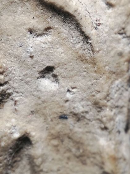 พระสมเด็จเนื้อนุ่มๆครับ รูปที่ 7