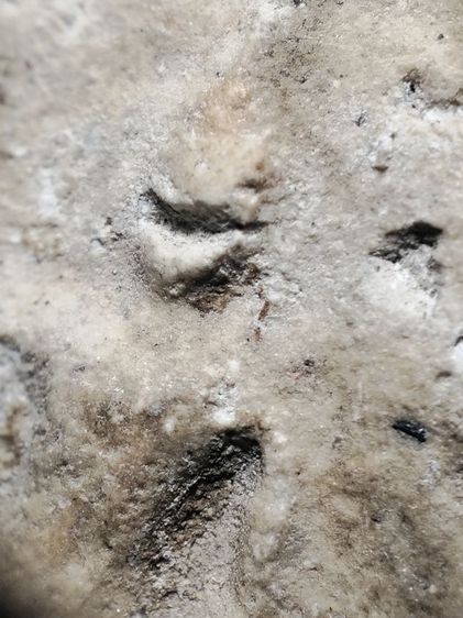 พระสมเด็จเนื้อนุ่มๆครับ รูปที่ 13