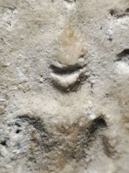 พระสมเด็จเนื้อนุ่มๆครับ รูปที่ 3