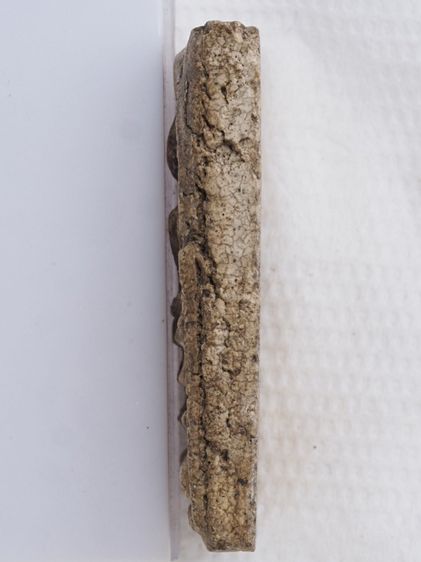 พระสมเด็จ 25116808 รูปที่ 4