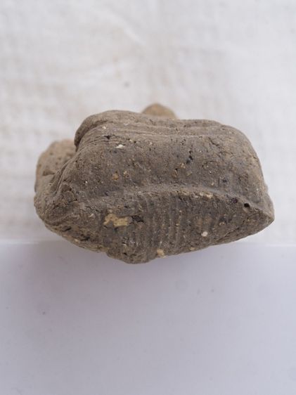 พระคงเนื้อดิน 25116816 รูปที่ 3