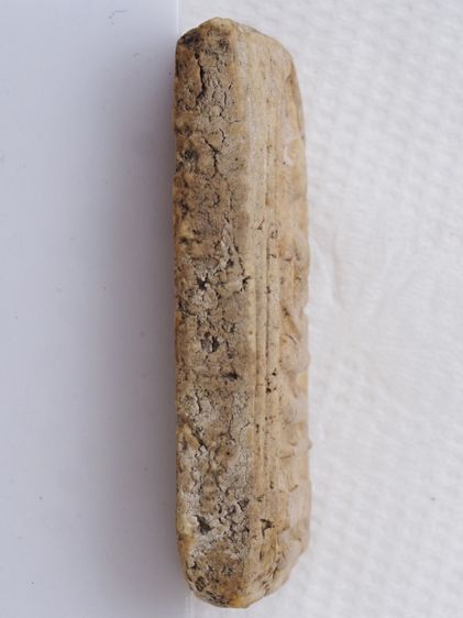 พระสมเด็จ 26116803 รูปที่ 3