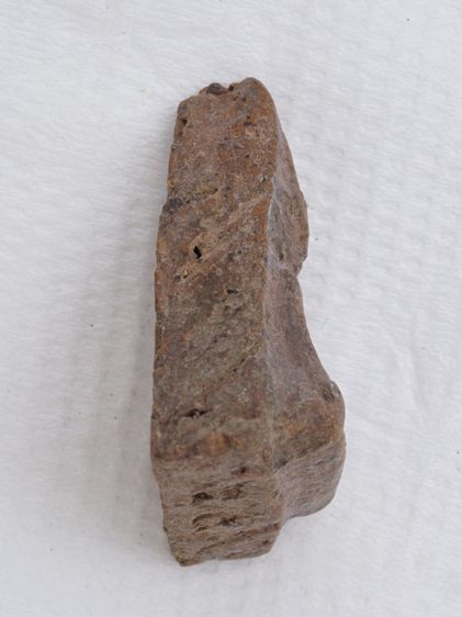 พระนางพญา 26116807 รูปที่ 3