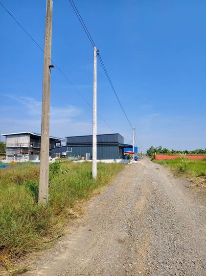 ขายที่ดินปล่อยราคาร้อนเงิน คลอง 11 หนองเสือ ซ. ปลายนาร่วมฤดี รูปที่ 4