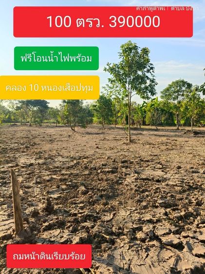 ขายที่ดินคลอง 10 ฝั่งตะวันตกมีพื้นที่ 1 ไร่ถมดินเต็มพื้นที่แบ่ง 100 ตารางวา 4 แปลง 