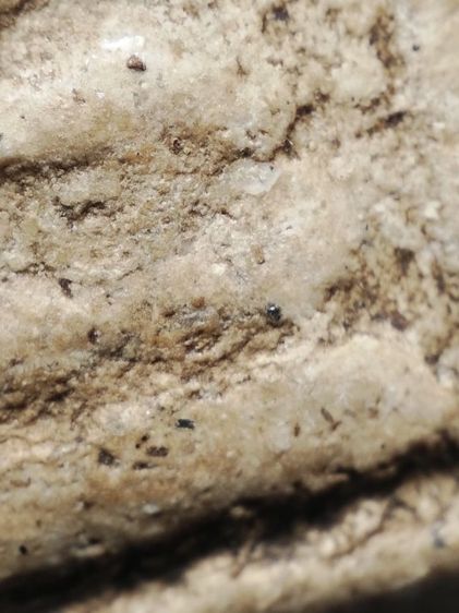 พระสมเด็จเก็บเดิมสภาพหิ้งครับ รูปที่ 13