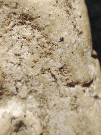 พระสมเด็จเก็บเดิมสภาพหิ้งครับ รูปที่ 5