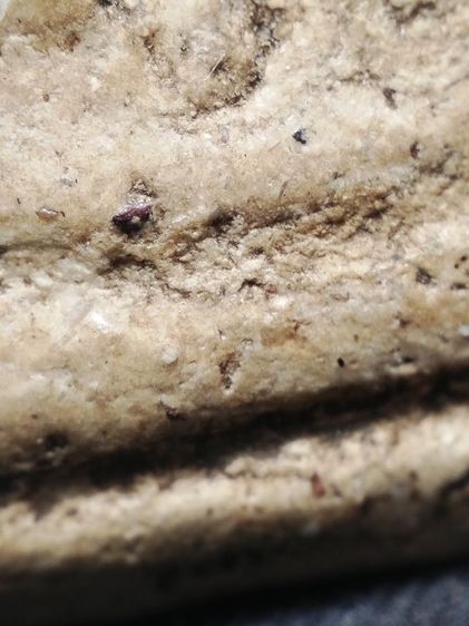 พระสมเด็จเก็บเดิมสภาพหิ้งครับ รูปที่ 8