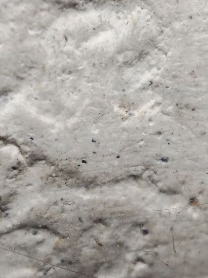 พระผงวัดปากน้ำเลี่ยมเดิมครับ รูปที่ 12