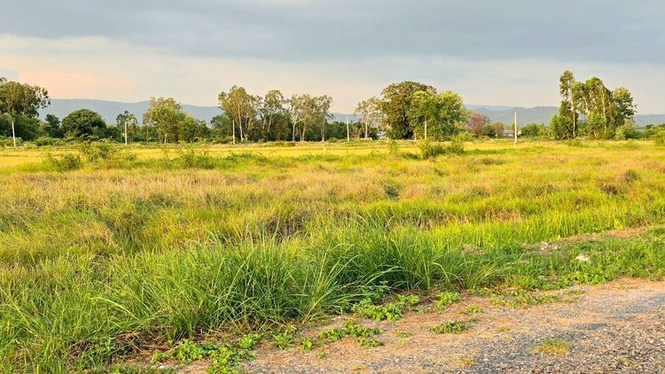 โครงการนาทองวิว  บ้านพร้าว บ้านนา นครนายก รูปที่ 2