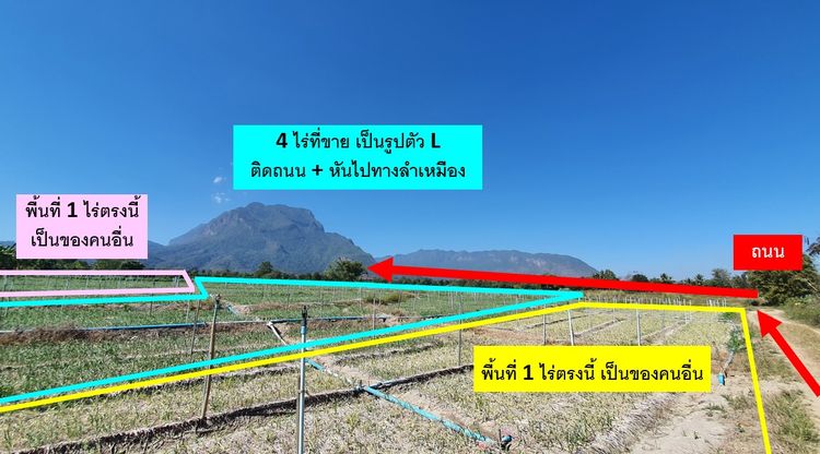ที่ดิน อ.เชียงดาว จ.เชียงใหม่ วิวดอยหลวง 4 ไร่ 🔥 5 ล้าน 🔥 รูปที่ 4