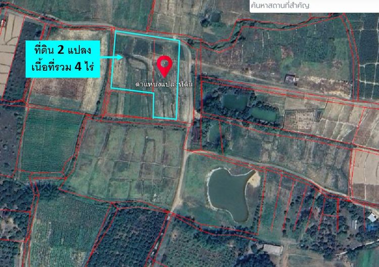 ที่ดิน อ.เชียงดาว จ.เชียงใหม่ วิวดอยหลวง 4 ไร่ 🔥 5 ล้าน 🔥 รูปที่ 3