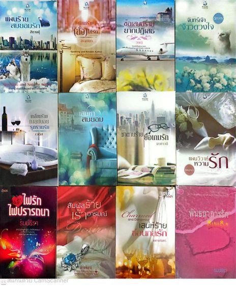 นิยายอื่นๆ นิยายมือสอง