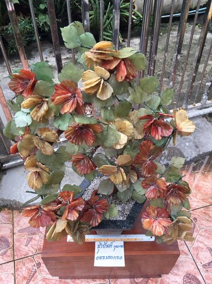 ต้นไม้หินขนาดใหญ่สภาพเก่าสวยสมบูรณ์ รูปที่ 2