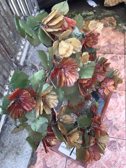 ต้นไม้หินขนาดใหญ่สภาพเก่าสวยสมบูรณ์ รูปที่ 3