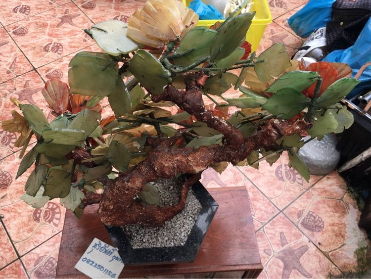 ต้นไม้หินขนาดใหญ่สภาพเก่าสวยสมบูรณ์ รูปที่ 6