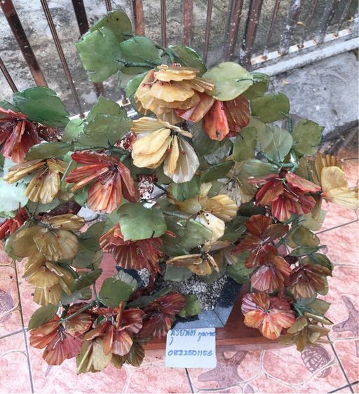 ต้นไม้หินขนาดใหญ่สภาพเก่าสวยสมบูรณ์ รูปที่ 4