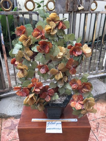 ต้นไม้หินขนาดใหญ่สภาพเก่าสวยสมบูรณ์