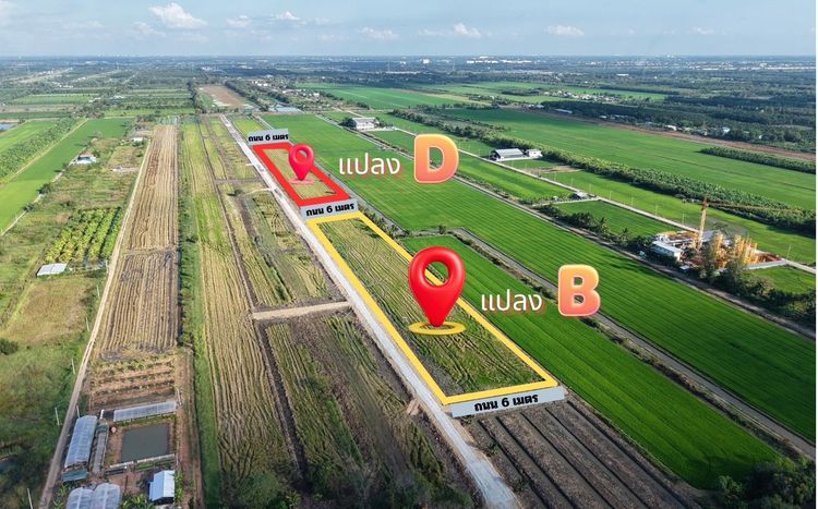 ขายที่ดินคลอง 8 อำเภอหนองเสือ จังหวัดปทุมธานี รูปที่ 3