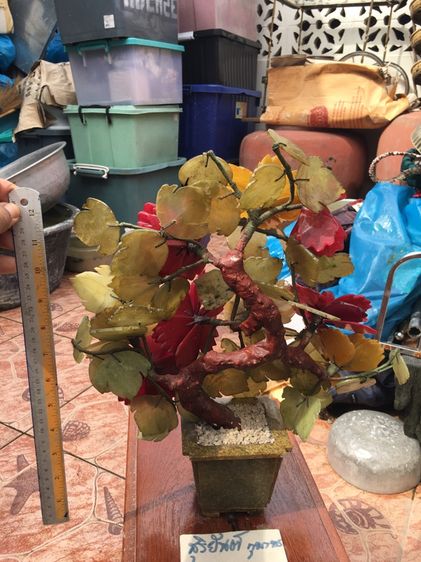 ต้นไม้หิน รูปที่ 4