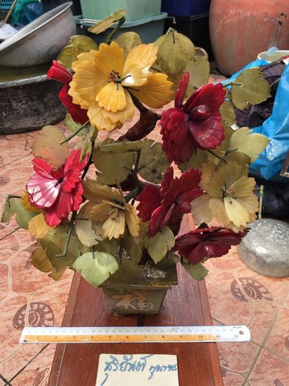 ต้นไม้หิน รูปที่ 2